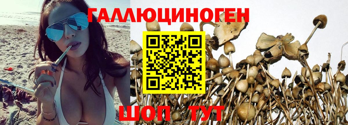 Галлюциногенные грибы Magic Shrooms Лесозаводск