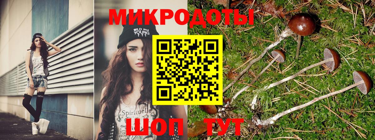 Галлюциногенные грибы MAGIC MUSHROOMS  Вход с VPN  Лесозаводск 